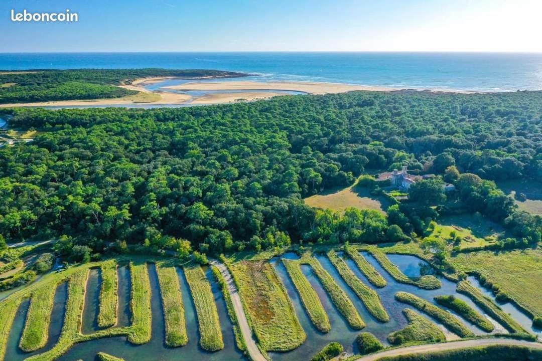 Talmont-Saint-Hilaire Charmant T2 Au Coeur Du Golf De Port Bourgenay מראה חיצוני תמונה