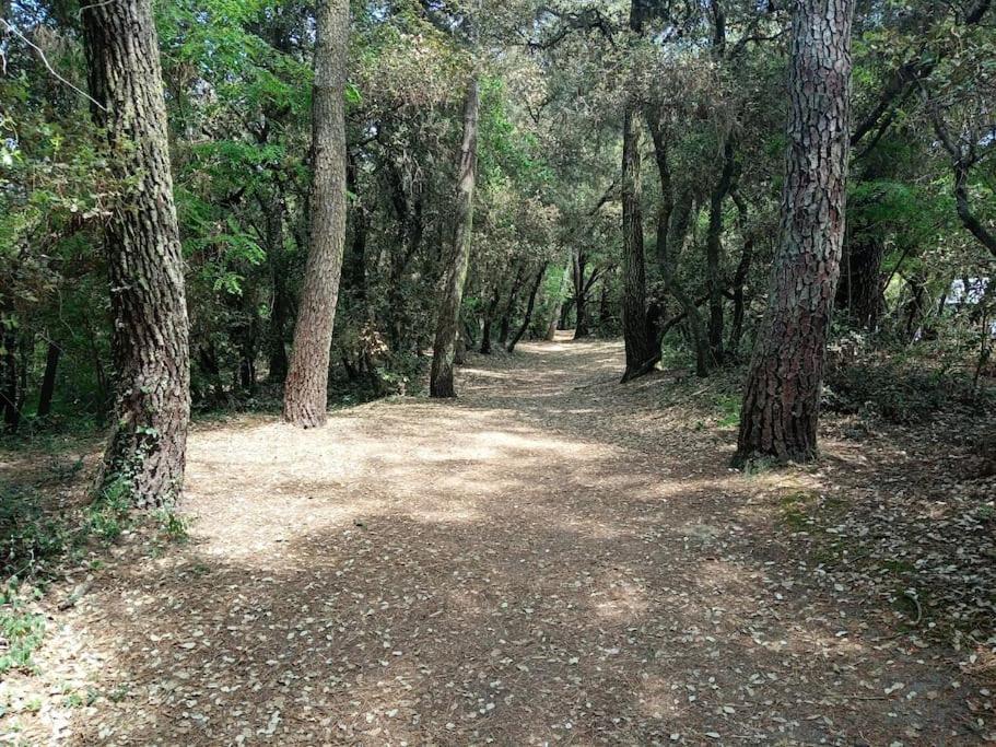 Talmont-Saint-Hilaire Charmant T2 Au Coeur Du Golf De Port Bourgenay מראה חיצוני תמונה