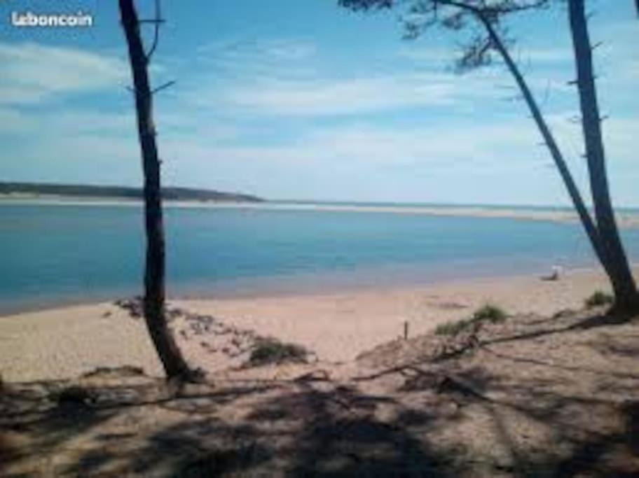 Talmont-Saint-Hilaire Charmant T2 Au Coeur Du Golf De Port Bourgenay מראה חיצוני תמונה
